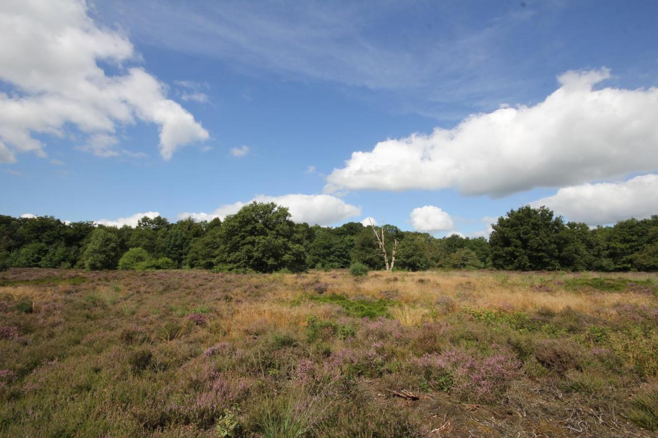 Siblu De Lente Van Drenthe Gasselte Exterior foto